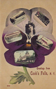 Cooks Falls postcard