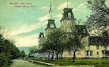 Mountain Lake Hotel Cooks Falls